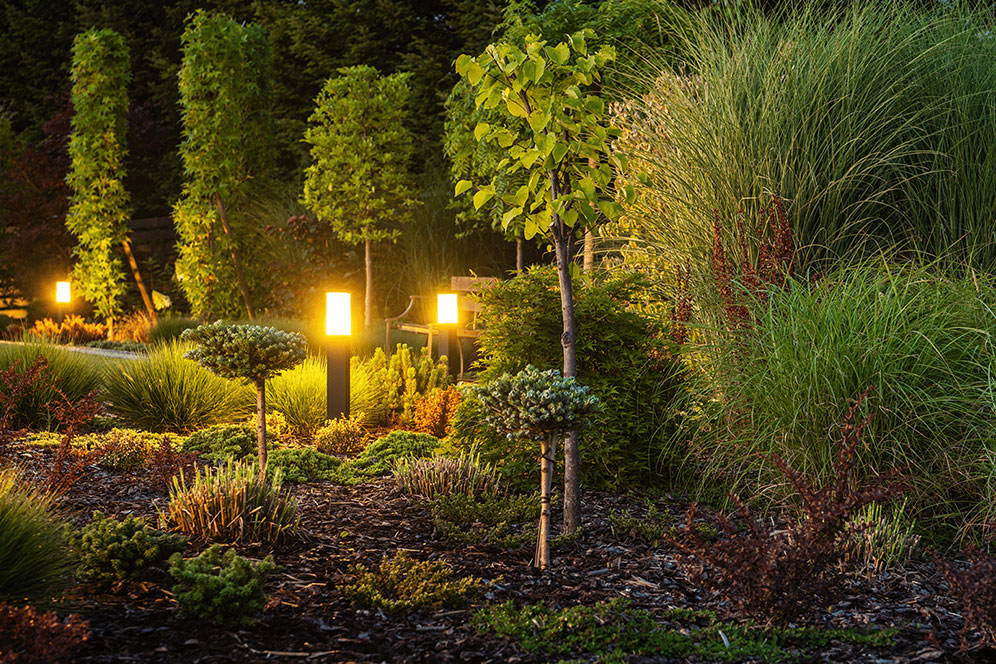 Softly illuminated garden with decorative landscaping lights creating a serene atmosphere at night.