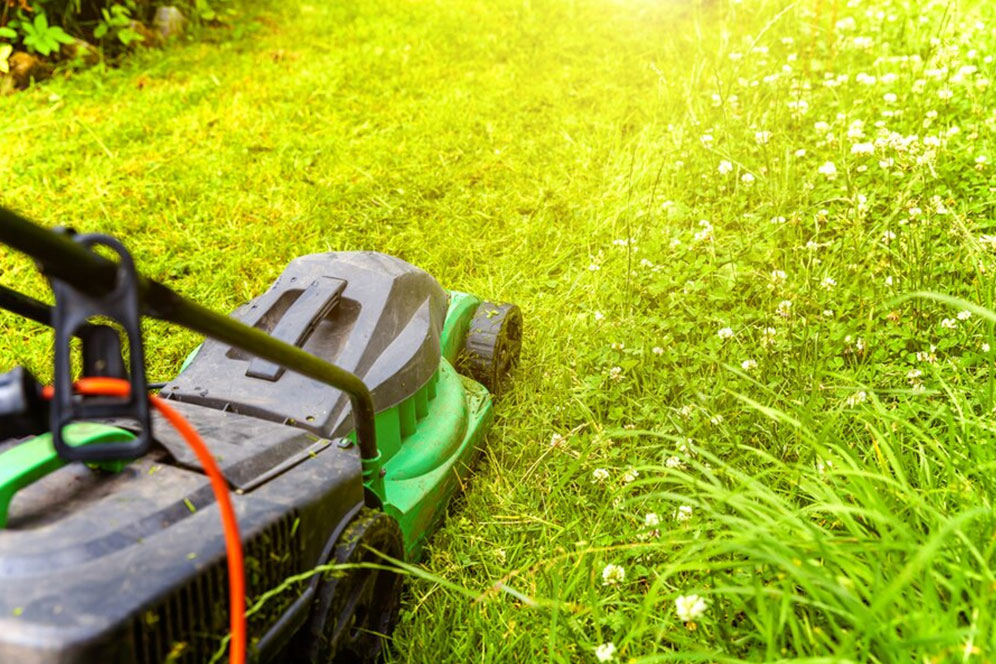 A lawn mower trims the grass in a yard, highlighting the process of lawn care and maintenance.