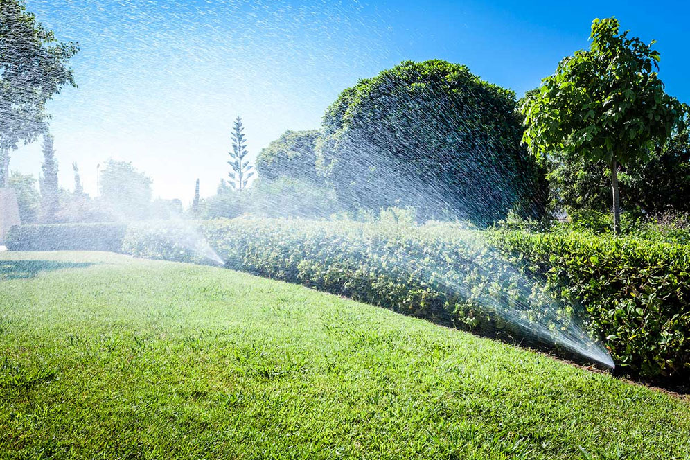 A sprinkler sprays water over a lush green lawn, creating a refreshing mist in the sunlight.