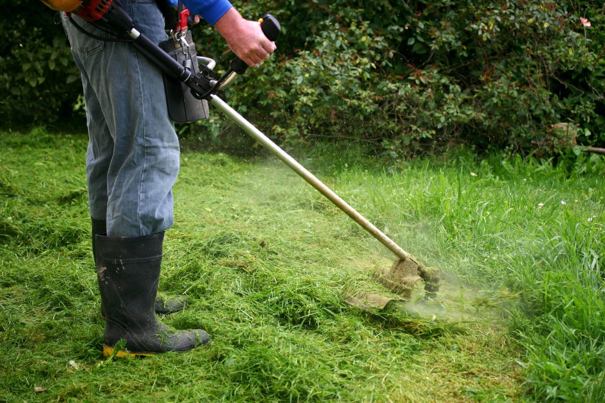 A person uses a string trimmer to cut lush green grass in a garden, surrounded by dense foliage and freshly cut grass.