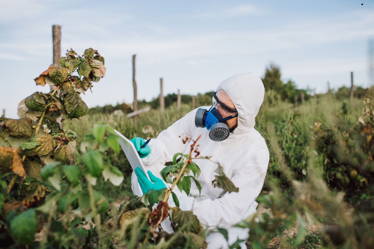 A person in a protective suit and mask takes notes while examining plants in a field, surrounded by green foliage and wooden posts.