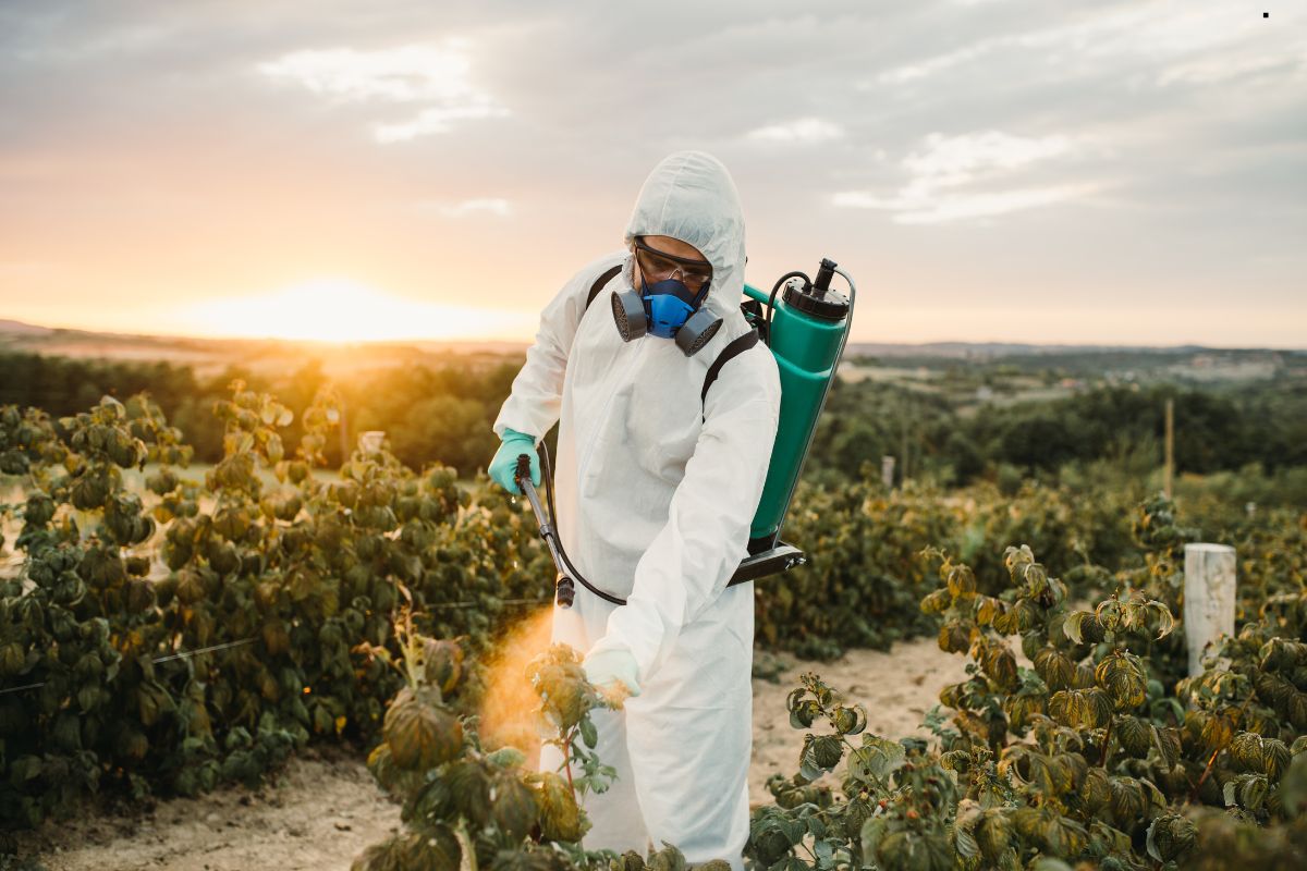 A person in protective gear sprays pesticide on a farm during sunset, with rows of crops and a scenic landscape in the background.