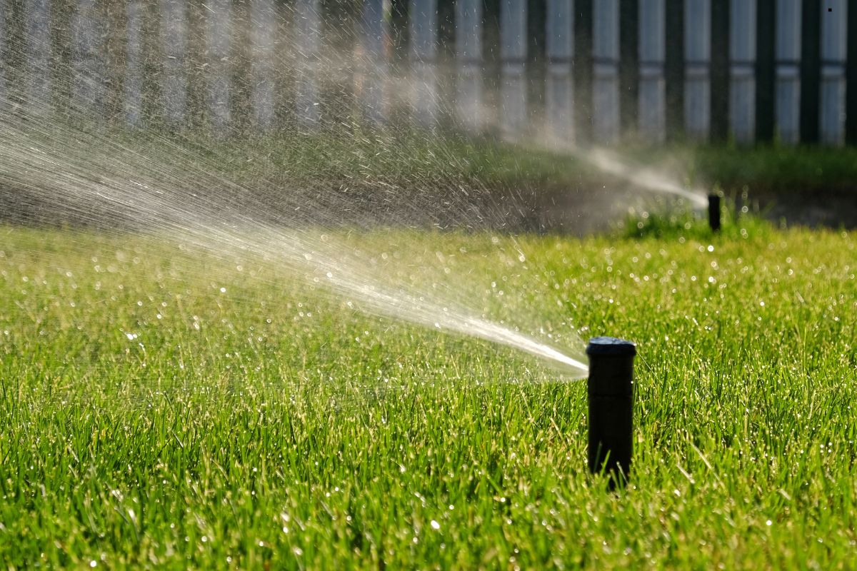 Sprinklers watering lush green grass, creating a fine mist in bright sunlight with a blurred fence in the background.